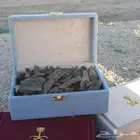 عود كلمنتان فاخر