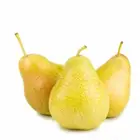 شتلات كمثرى فور ويل وكوشي اسباني 20 ريال