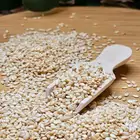 مطلوب سمسم سوداني مقشر محمص