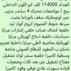 20019
