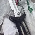 جنجر