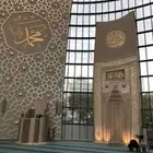 دراسات وافكار مشاريع ناجحه