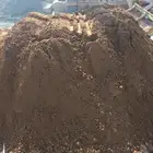 تربه زراعيه جده أبحر الشماليه الرحيلي ذهبان