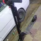القصيم بريدة