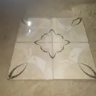بيشة حي تلرليع