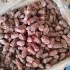 تمر خضري كميه كبيره