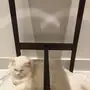 قطة شيرازية للبيع بجدة
