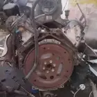 مكينه جمس على الشرط