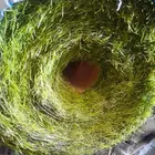 فرش ثيل صناعي جميع الألوان