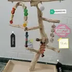 استاندت خشب طبيعي لجميع أنواع الببغاء 