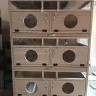 اقفاص طيور وصوص جاهز