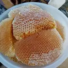 عسل طبيعي بلدي متنوع