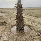 نحن نقوم بتركيب شبوك شبك مزارع. شبك كسارت شبك استراحات شبك