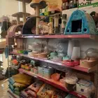 مستلزمات قطط وطيور هملايا شيرازي كروان كاسكو