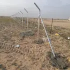 مقول شبوك ونخيل