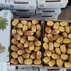 رطب خلاص فاخر