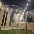 ضباب