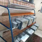 بطاريات ارانب 14عين