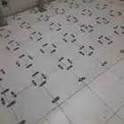 معلم سراميك في ضباء