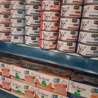 اكل قطط رمل قطط جوده عاليه سعر ممتاز هملايا