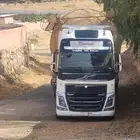 لوبد متواجد في خميس مشيط علا اي اتجاه