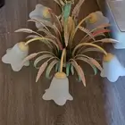 نجفة مورانو