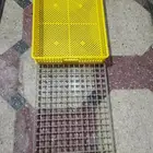 اطباق وحضانات للفقاسات