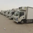 دينا تبريد وتجميد الإيجار مع السأق