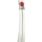 كينزو فلاور Kenzo flower