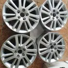 جنوط اوريون 2010 - 2011