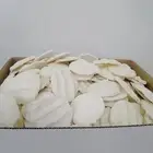 بقل مضير أقط