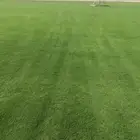 افضل واطيب انواع الثيل الطبيعي الممتاز الصافي