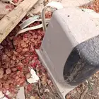 مكينة باب سحاب نايس