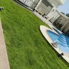 تنسيق حدائق جده عشب طبيعي مظلات شلالات وغرفه