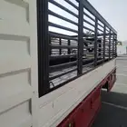 دينا دينه سته متر نجران الجامعه