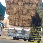 ذره شتوي كوم ممطور محمل علي الدينه