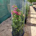 مزرع أبو يوسف