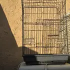 للبيع شبوك طيور