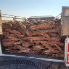 صندوق هايلكس غماره
