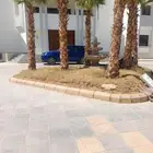 نخل وزراعه وتوريدثيل وزهور