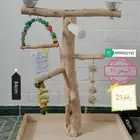 استاند ببغاء خشب طبيعي مميزه ونادره يوجد كميه