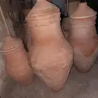 زير من المدينة المنورة