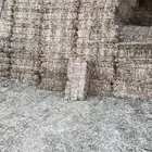 مخلوط ناعم هيبان وشعر روض وشوي جرجير