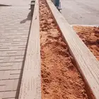 أخوات خارجي شجرة كبير صغير