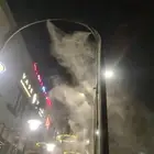 رذاذ ضباب