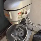 عجانه متوسطة الحجم للبيع