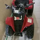دباب للبيع
