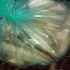 عضم حبار