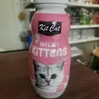 حليب قطط هملايا شيرازي سكتش بنغالي سيامي