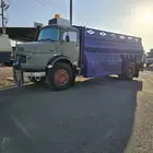 وايت بوز موديل 81
